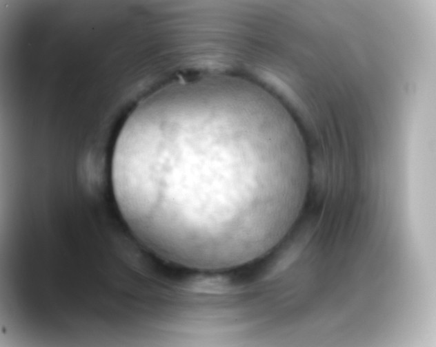 X0000088490403200706051422