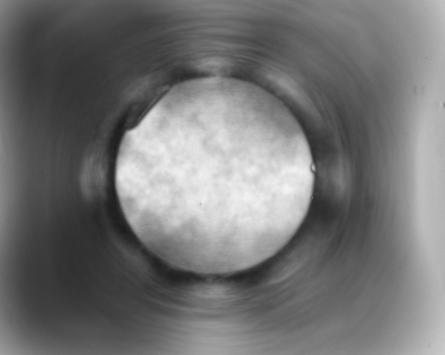 X0000088490404200706051422