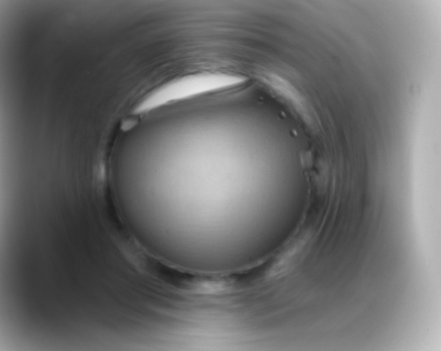 X0000088490405200706051422