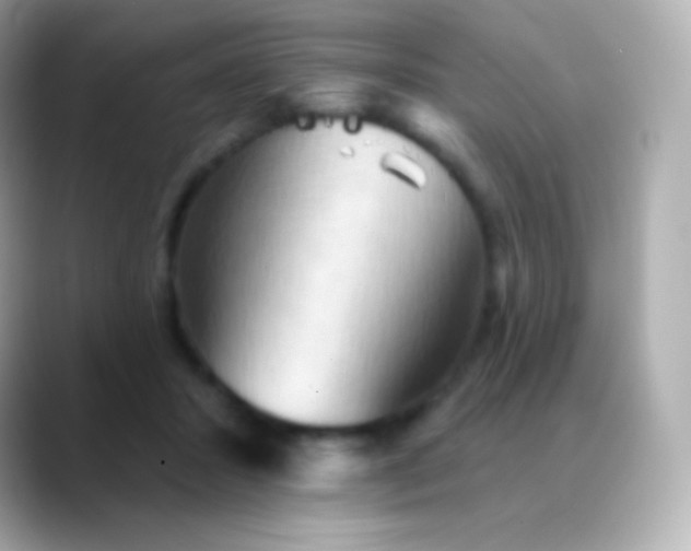 X0000088490407200706051422