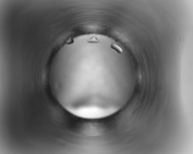 X0000088490408200706051422