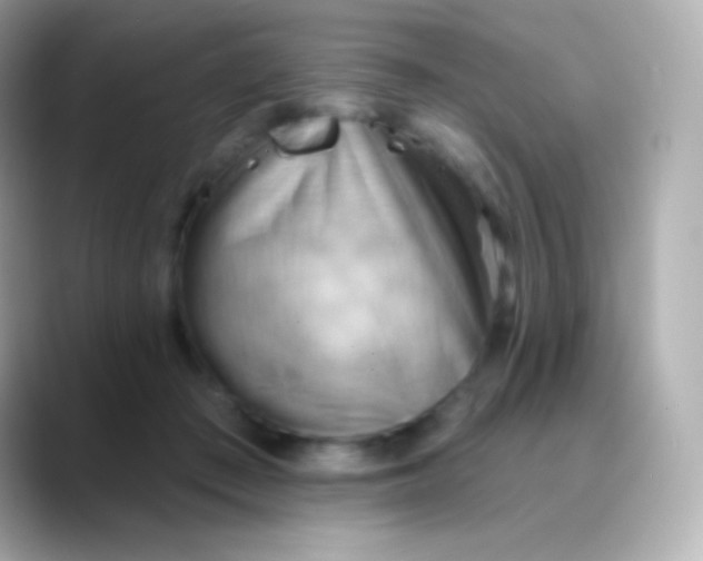 X0000088490409200706051422