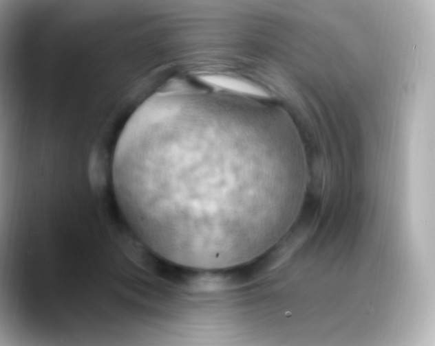 X0000088490413200706051422