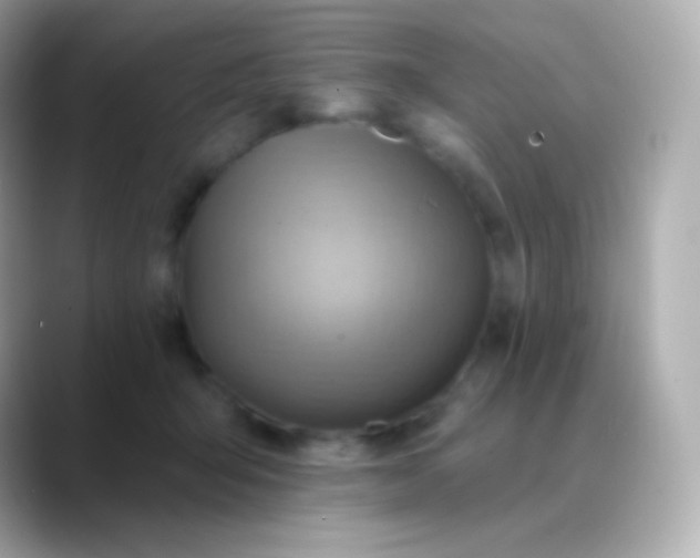 X0000088490415200706051422