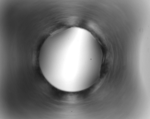 X0000088490416200706051422