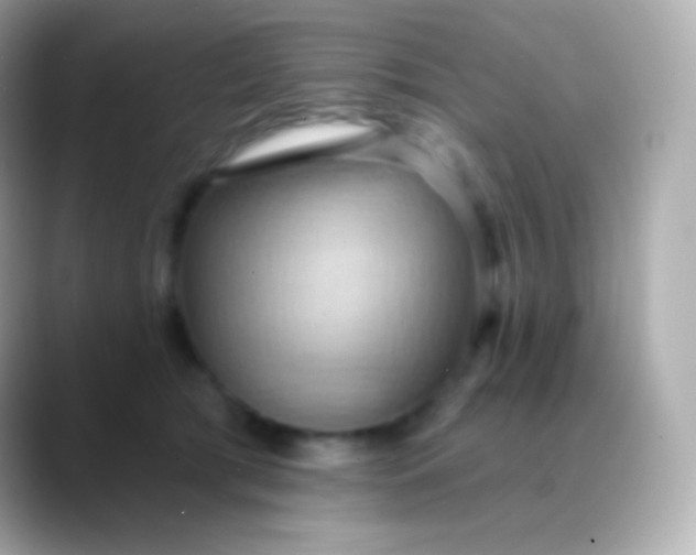 X0000088490417200706051422