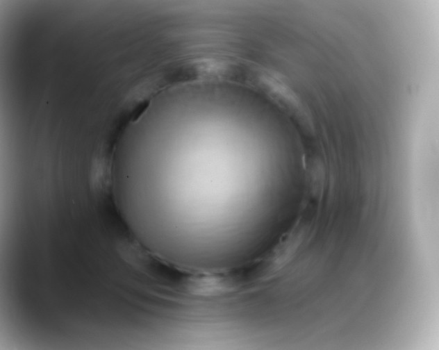 X0000088490419200706051422