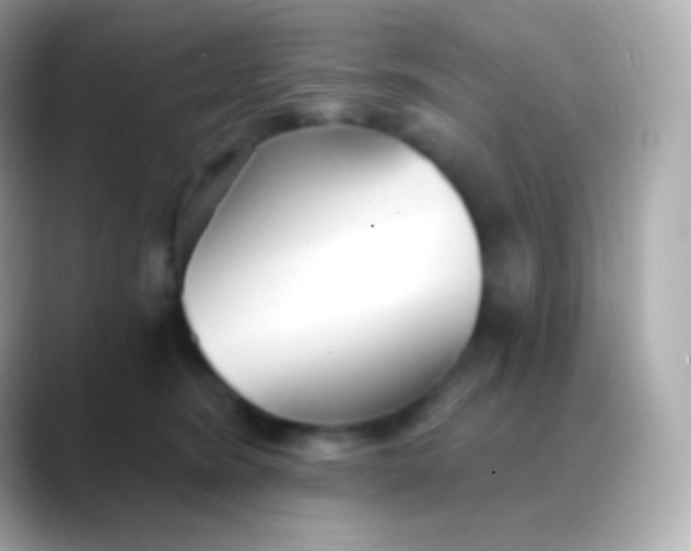 X0000088490420200706051422