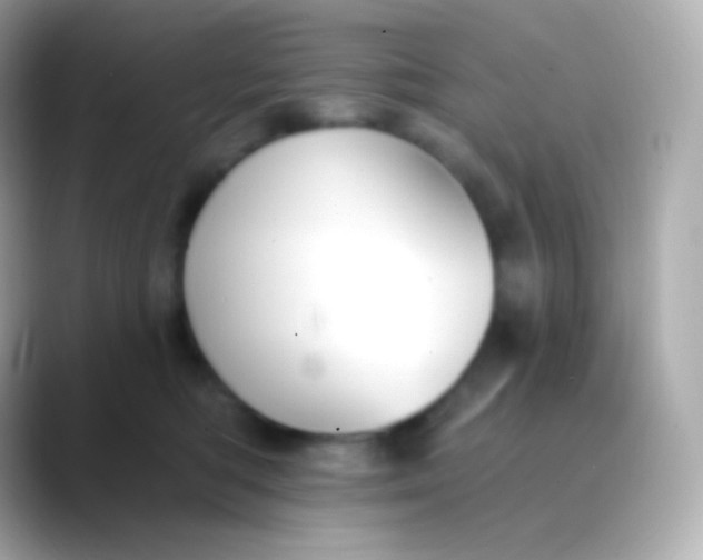 X0000088490422200706051422