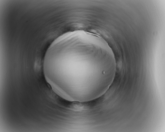 X0000088490423200706051422