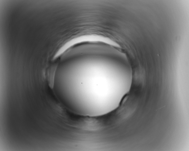 X0000088490424200706051422