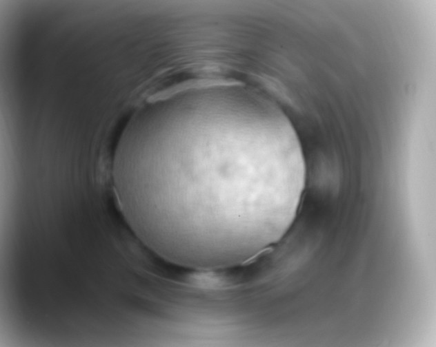 X0000088490425200706051421