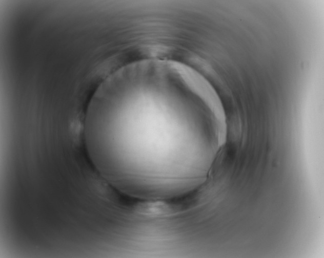 X0000088490427200706051421