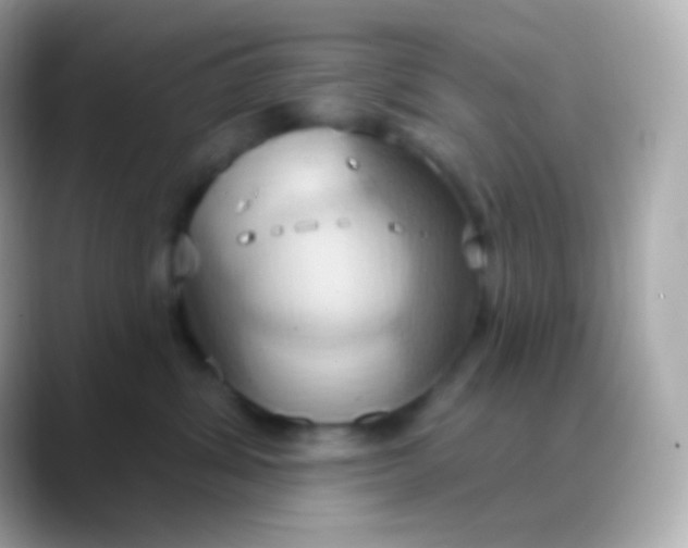 X0000088490428200706051421