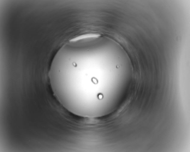 X0000088490429200706051421