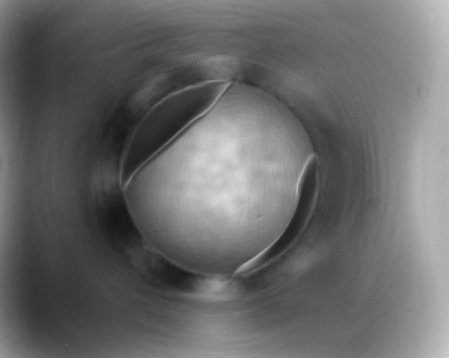 X0000088490432200706051421