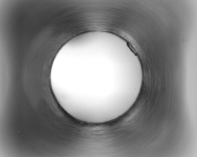 X0000088490433200706051421