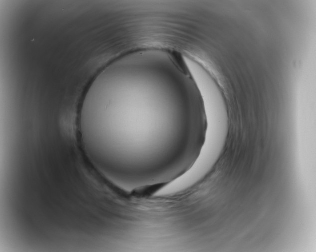 X0000088490434200706051421