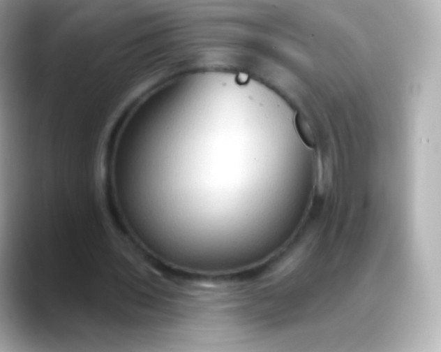 X0000088490435200706051421