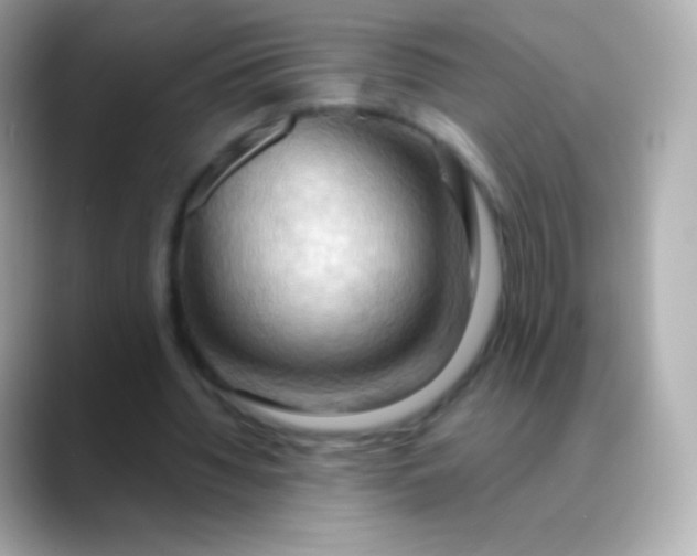 X0000088490436200706051421