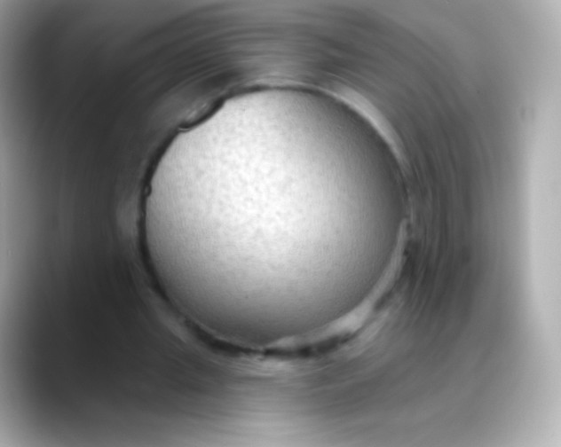 X0000088490437200706051421