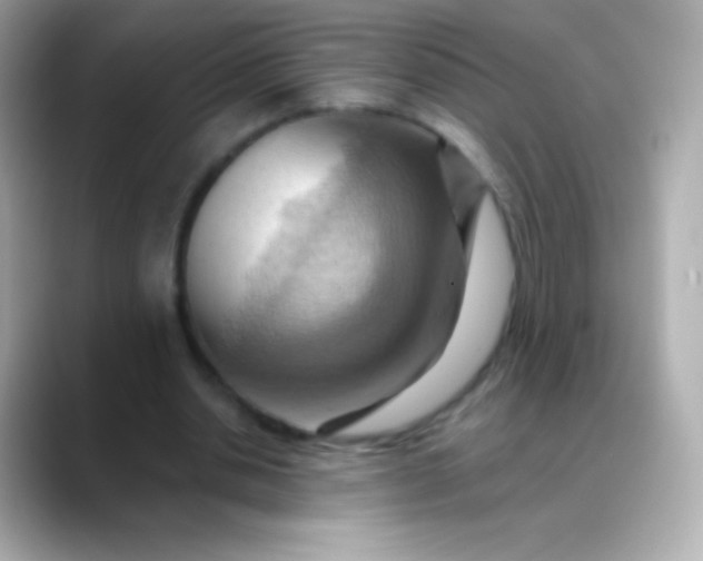 X0000088490438200706051421