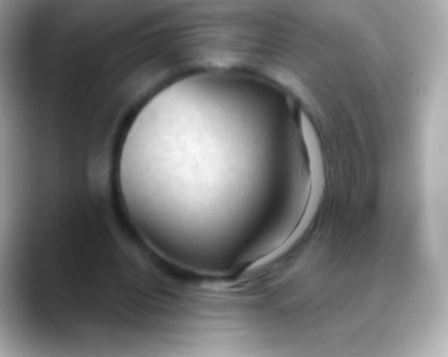 X0000088490440200706051421