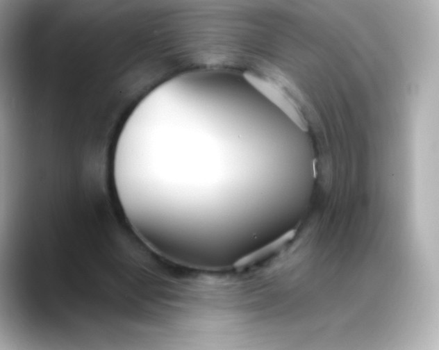 X0000088490442200706051421