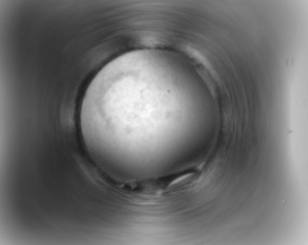 X0000088490443200706051421