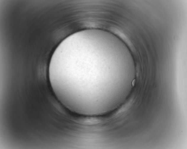 X0000088490445200706051421