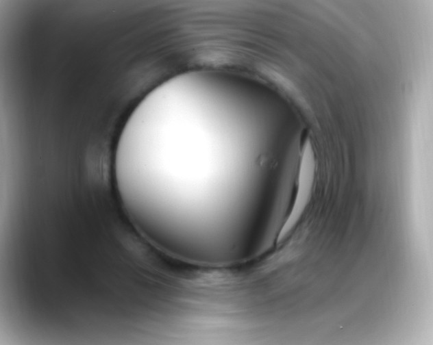 X0000088490446200706051421