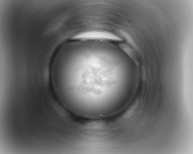 X0000088490447200706051421