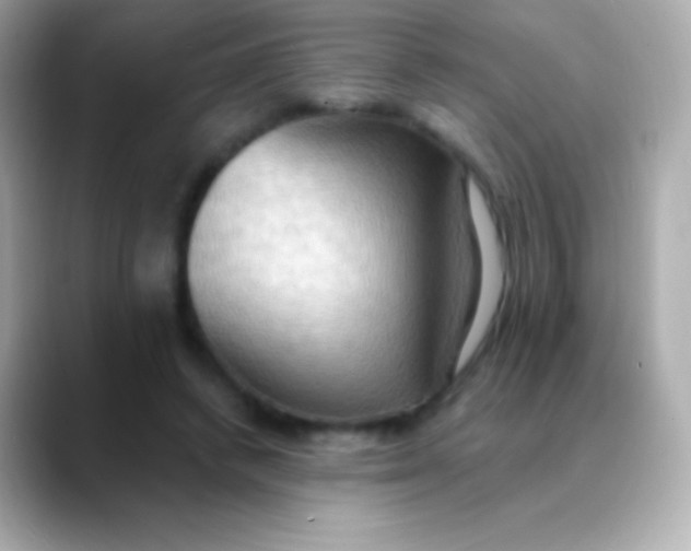 X0000088490448200706051421