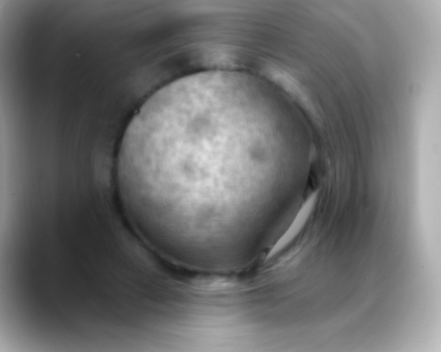 X0000088490449200706051421