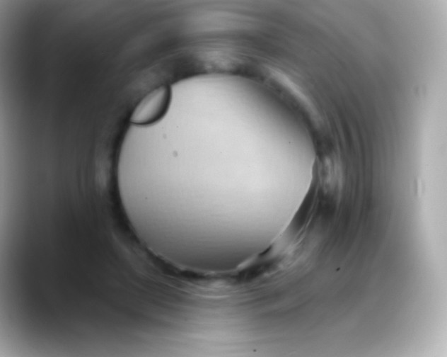 X0000088490451200706051421