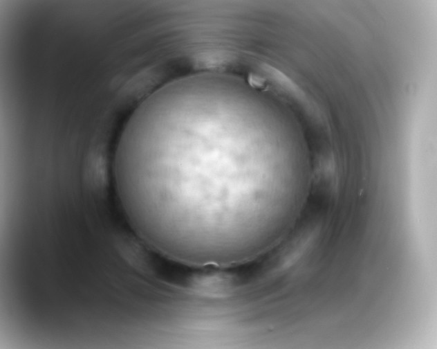 X0000088490452200706051421