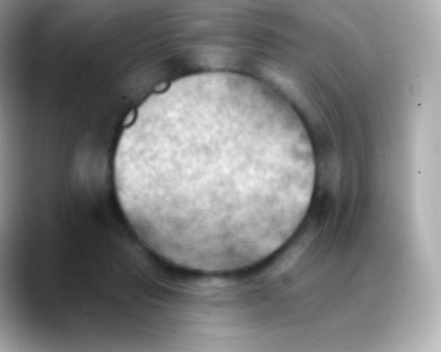 X0000088490453200706051421