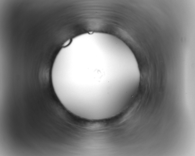 X0000088490454200706051421