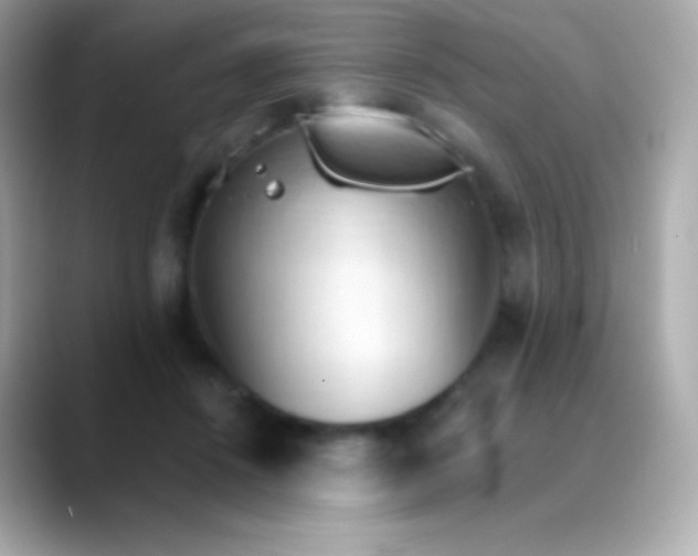 X0000088490456200706051421