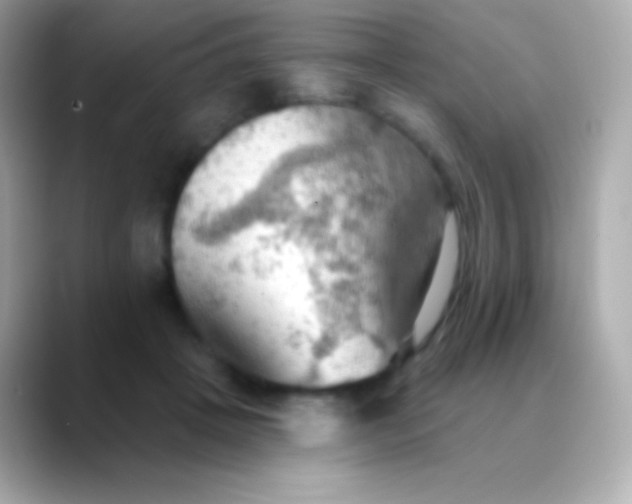 X0000088490457200706051421