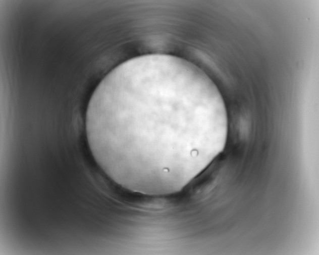 X0000088490459200706051421