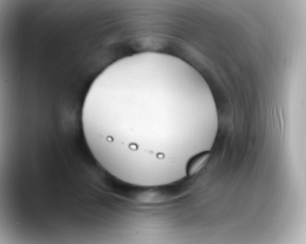 X0000088490460200706051421