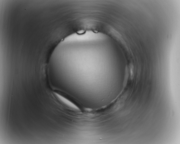 X0000088490462200706051421