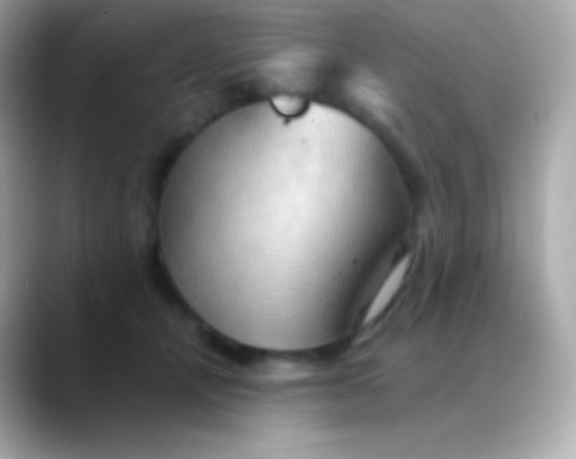 X0000088490464200706051421