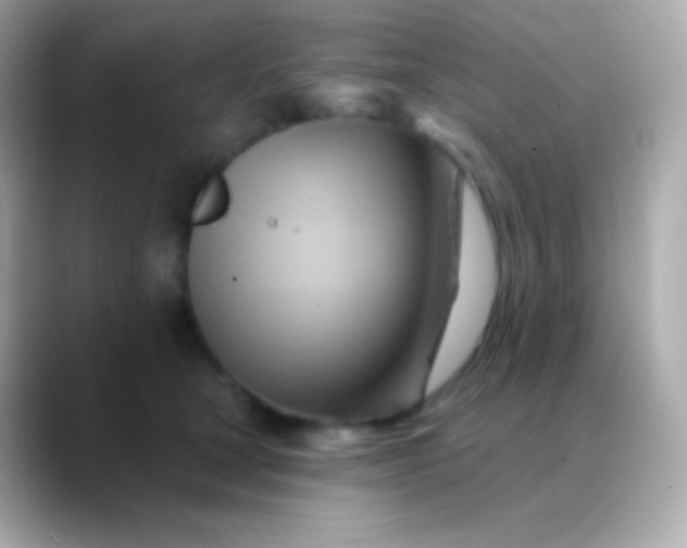 X0000088490465200706051421