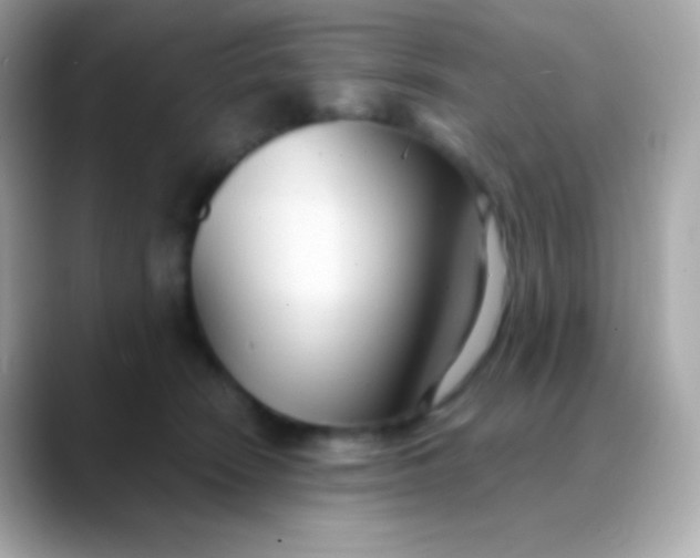 X0000088490466200706051421