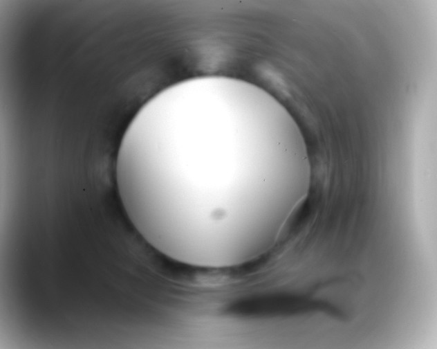 X0000088490470200706051421