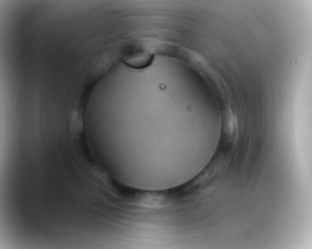 X0000088490471200706051421