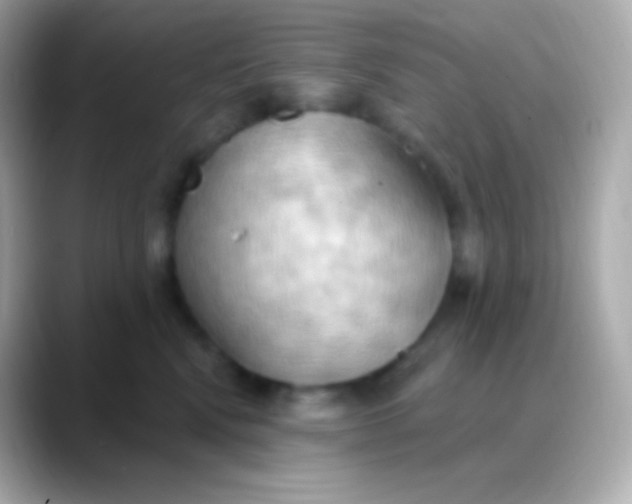 X0000088490472200706051421