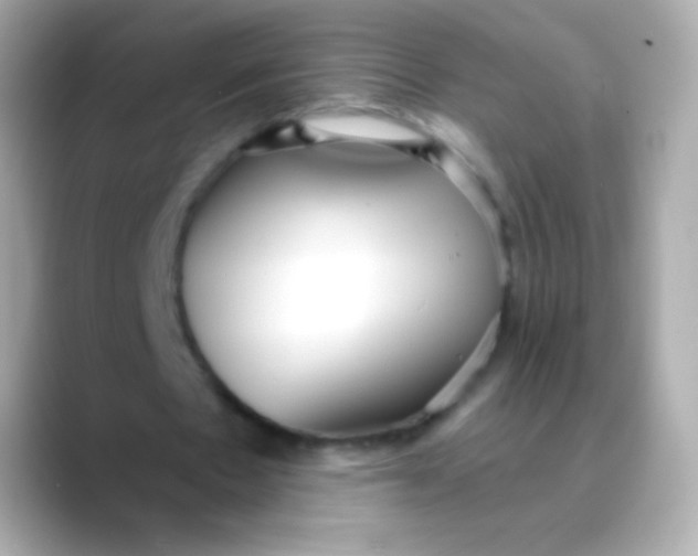 X0000088490481200706051421